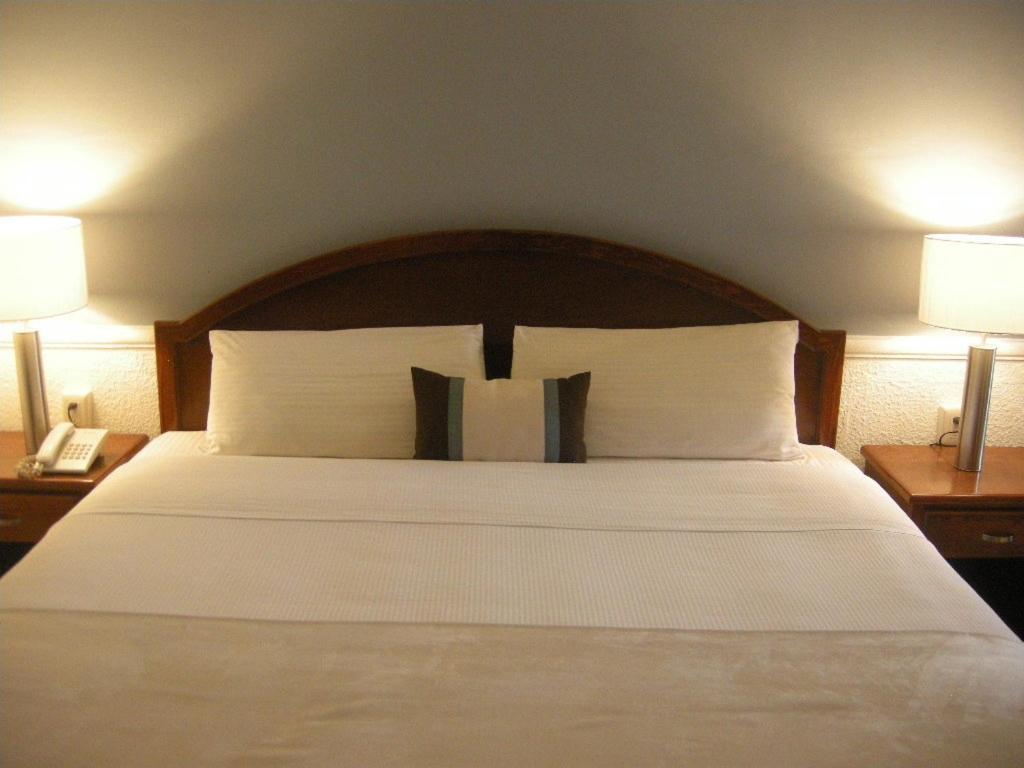 Scala Hotel Lagos de Moreno Bilik gambar
